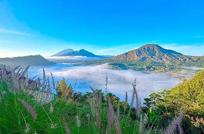 Pinggan Campside Glamping Baturaja (Bali)